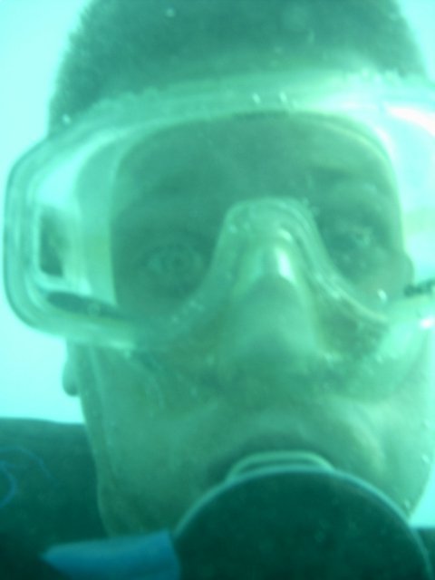 bug-eye scott